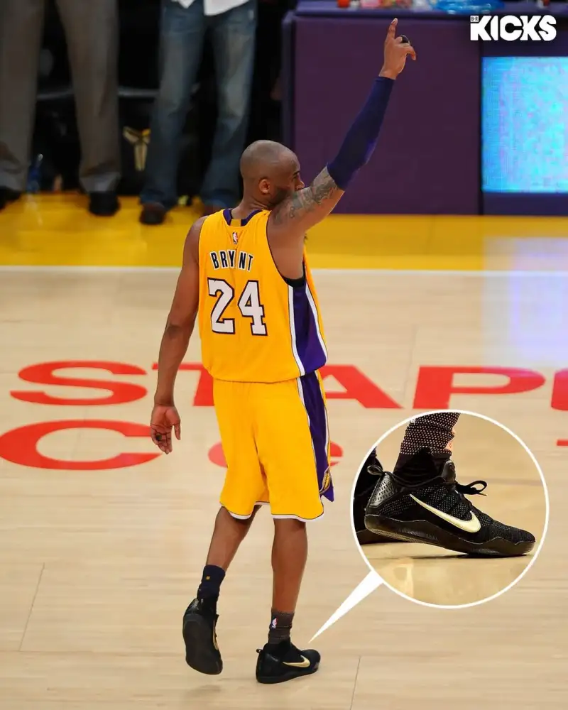 PG Gaming-B/R晒图回顾16赛季球员们穿着的经典球鞋：一起踏上回忆之旅